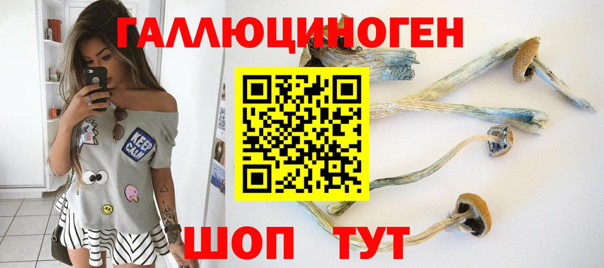 Галлюциногенные грибы мухоморы  Псилоцибиновые грибы мухоморы  Ишимбай  Вход с VPN 