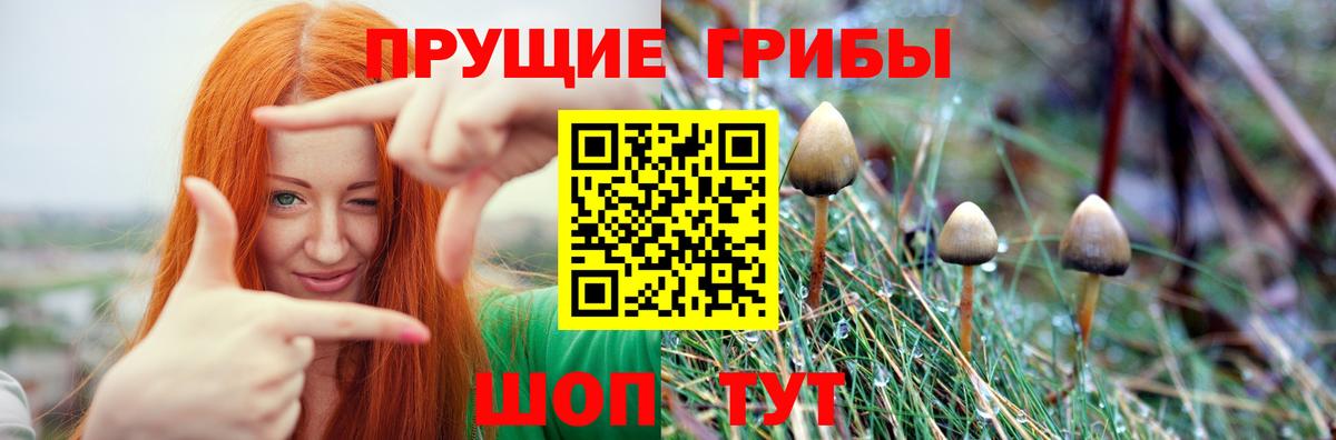 Галлюциногенные грибы мицелий Ишимбай